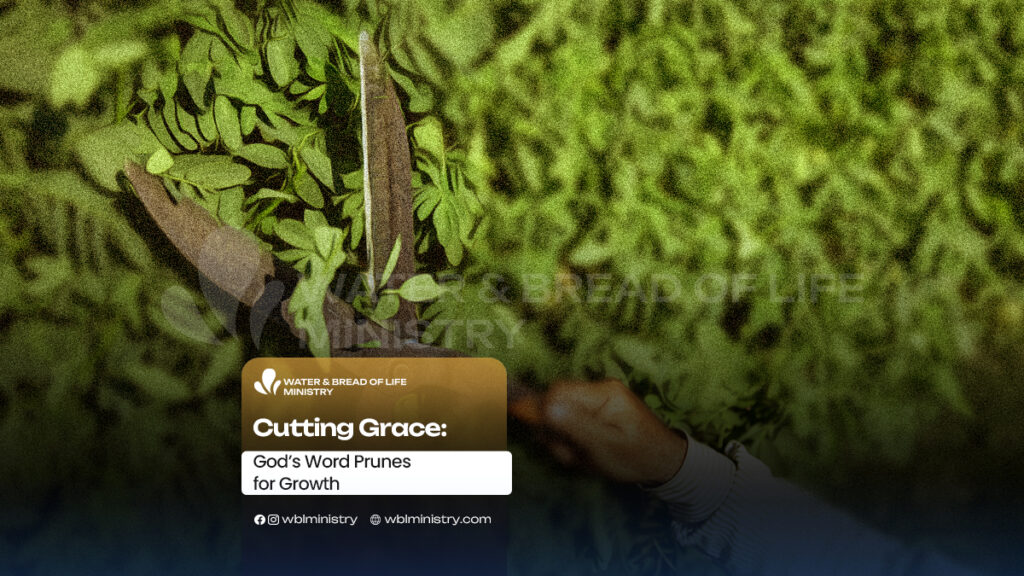 Cutting Grace